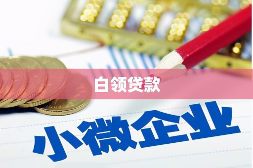 西屿白领贷款