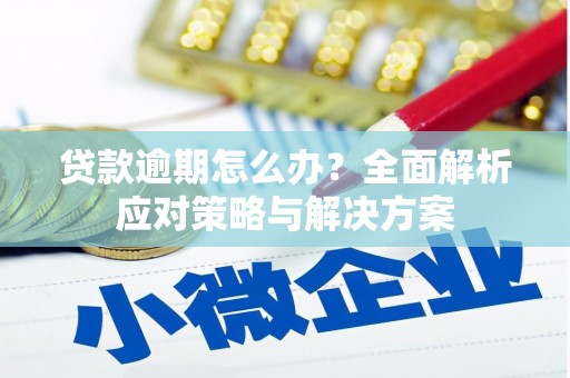 西屿贷款逾期怎么办？全面解析应对策略与解决方案