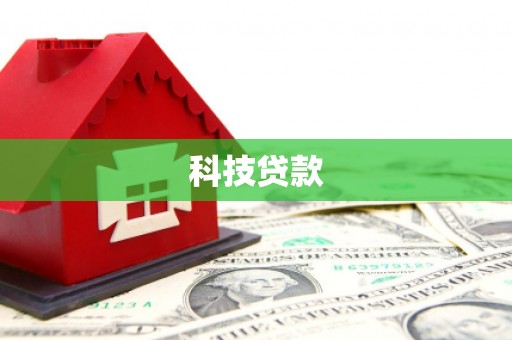 西屿科技贷款