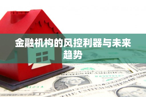 西屿金融机构的风控利器与未来趋势