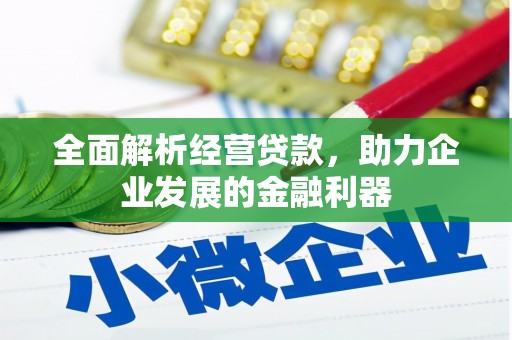 西屿全面解析经营贷款，助力企业发展的金融利器