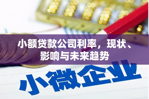 西屿小额贷款公司利率，现状、影响与未来趋势