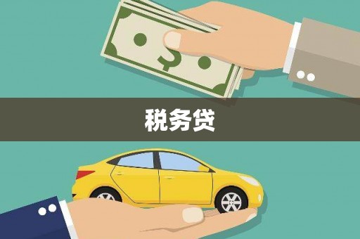 西屿税务贷