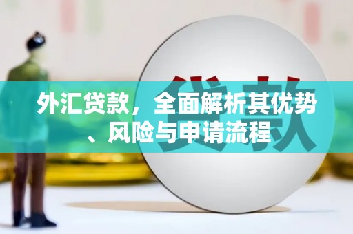 西屿外汇贷款，全面解析其优势、风险与申请流程