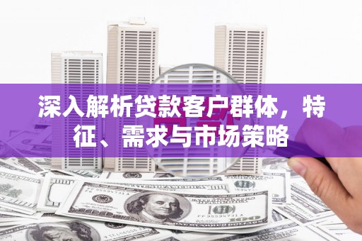 西屿深入解析贷款客户群体，特征、需求与市场策略