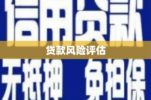 西屿贷款风险评估