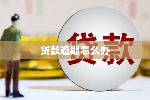 西屿贷款逾期怎么办