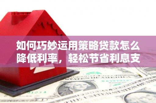 西屿如何巧妙运用策略贷款怎么降低利率，轻松节省利息支出