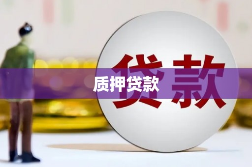 西屿质押贷款
