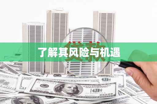 西屿了解其风险与机遇