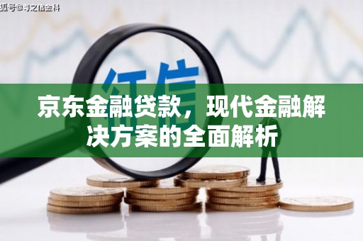 西屿京东金融贷款，现代金融解决方案的全面解析