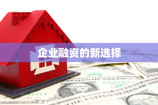 西屿企业融资的新选择
