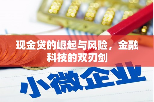 西屿现金贷的崛起与风险，金融科技的双刃剑