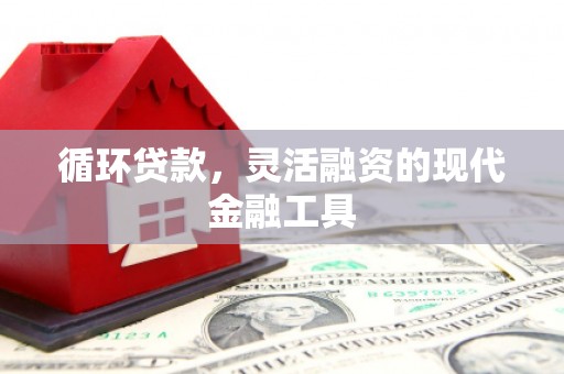 西屿循环贷款，灵活融资的现代金融工具