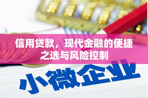 西屿信用贷款，现代金融的便捷之选与风险控制