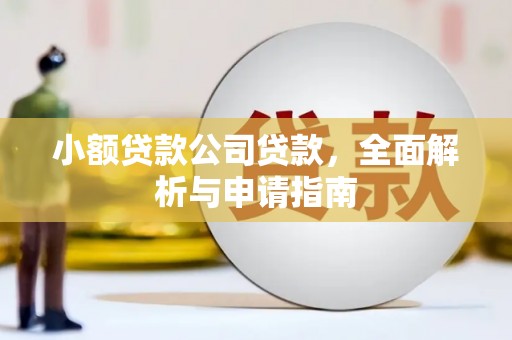 西屿小额贷款公司贷款，全面解析与申请指南