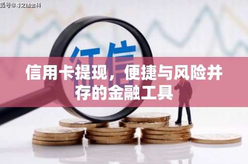 西屿信用卡提现，便捷与风险并存的金融工具
