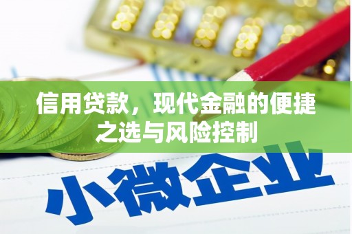 西屿信用贷款，现代金融的便捷之选与风险控制
