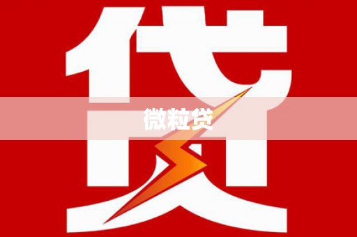 西屿微粒贷