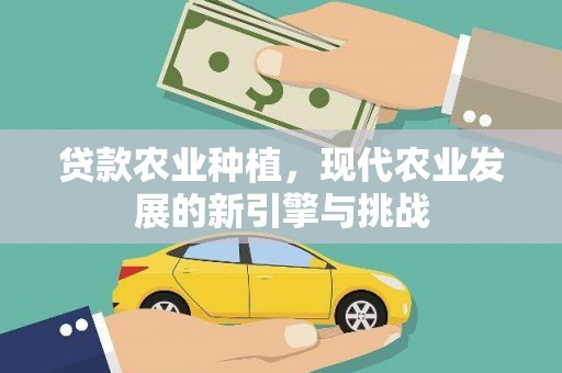 西屿贷款农业种植，现代农业发展的新引擎与挑战