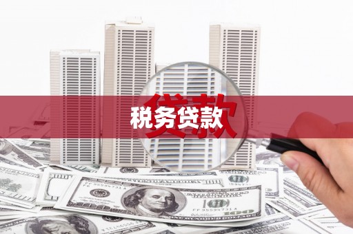 西屿税务贷款