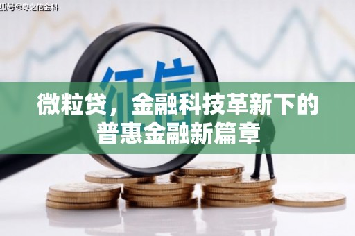西屿微粒贷，金融科技革新下的普惠金融新篇章