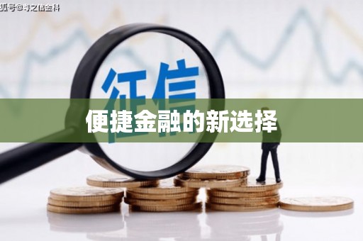 西屿便捷金融的新选择