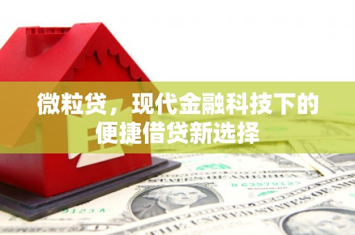 西屿微粒贷，现代金融科技下的便捷借贷新选择