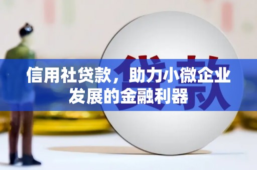 西屿信用社贷款，助力小微企业发展的金融利器