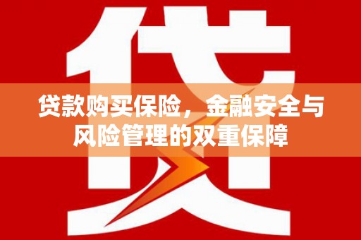 西屿贷款购买保险，金融安全与风险管理的双重保障