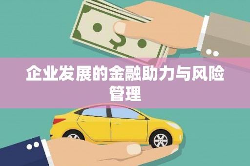 西屿企业发展的金融助力与风险管理