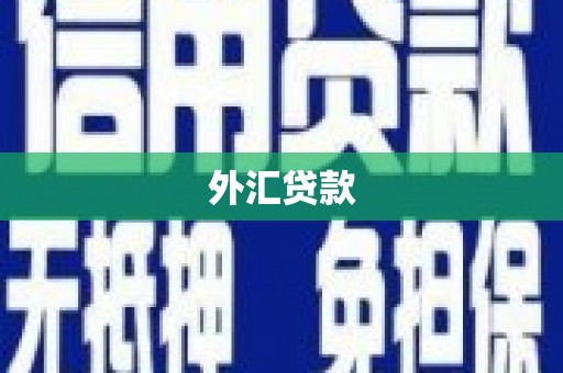 西屿外汇贷款