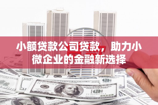 西屿小额贷款公司贷款，助力小微企业的金融新选择