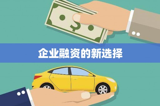 西屿企业融资的新选择