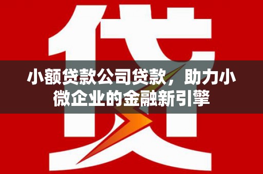 西屿小额贷款公司贷款，助力小微企业的金融新引擎