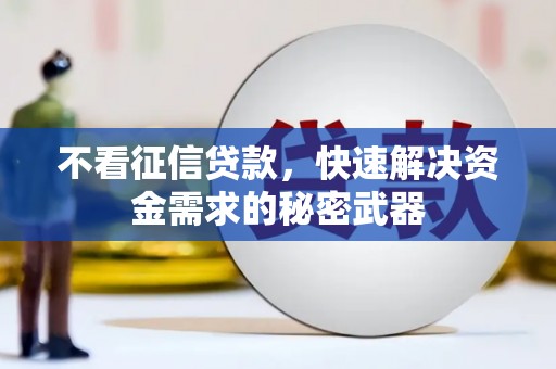西屿不看征信贷款，快速解决资金需求的秘密武器