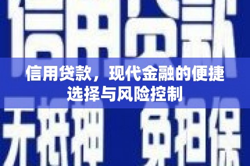 西屿信用贷款，现代金融的便捷选择与风险控制