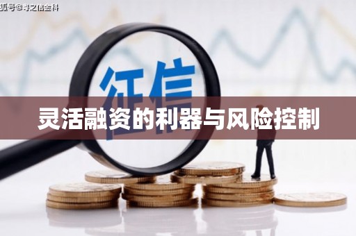 西屿灵活融资的利器与风险控制