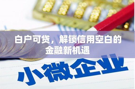 西屿白户可贷，解锁信用空白的金融新机遇