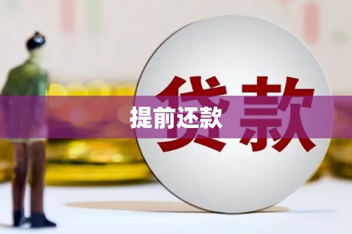 西屿提前还款