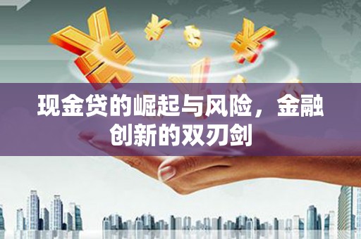 西屿现金贷的崛起与风险，金融创新的双刃剑