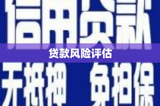 西屿贷款风险评估