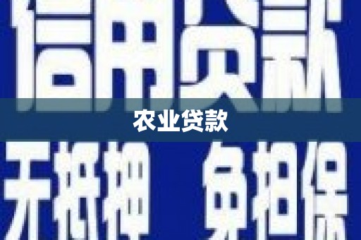 西屿农业贷款