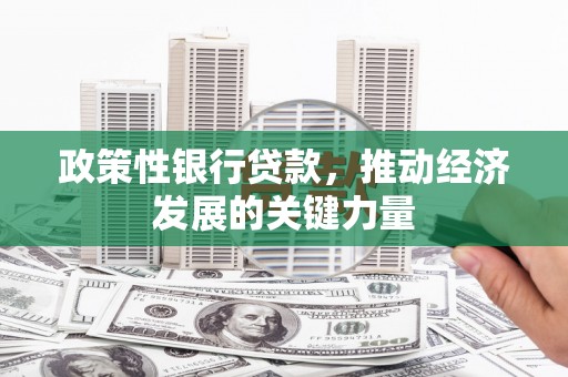 西屿政策性银行贷款，推动经济发展的关键力量