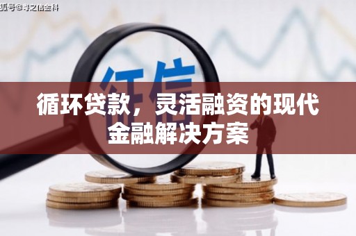 西屿循环贷款，灵活融资的现代金融解决方案
