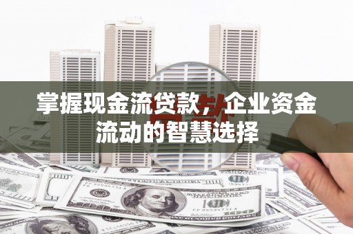 西屿掌握现金流贷款，企业资金流动的智慧选择