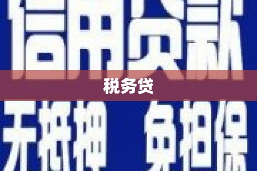 西屿税务贷