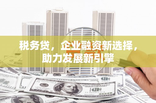 西屿税务贷，企业融资新选择，助力发展新引擎