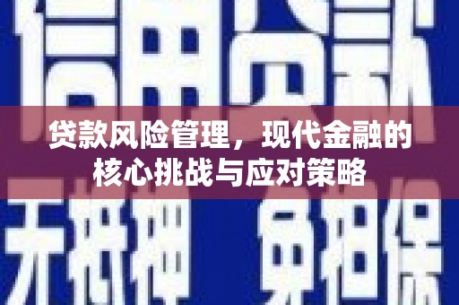 西屿贷款风险管理，现代金融的核心挑战与应对策略