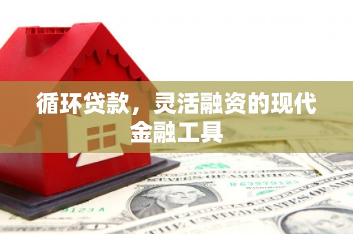 西屿循环贷款，灵活融资的现代金融工具